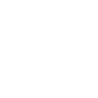Cyber Security