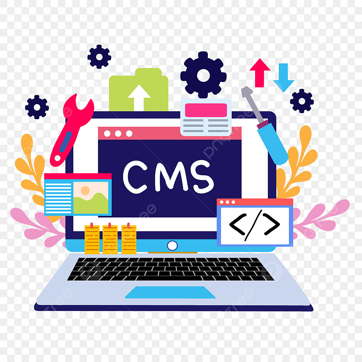 content management systems (CMS)
